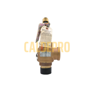 Kunkle 6010EDM01-AM01 – Válvula de Seguridad  (3/4” x 1” – 150 PSI)